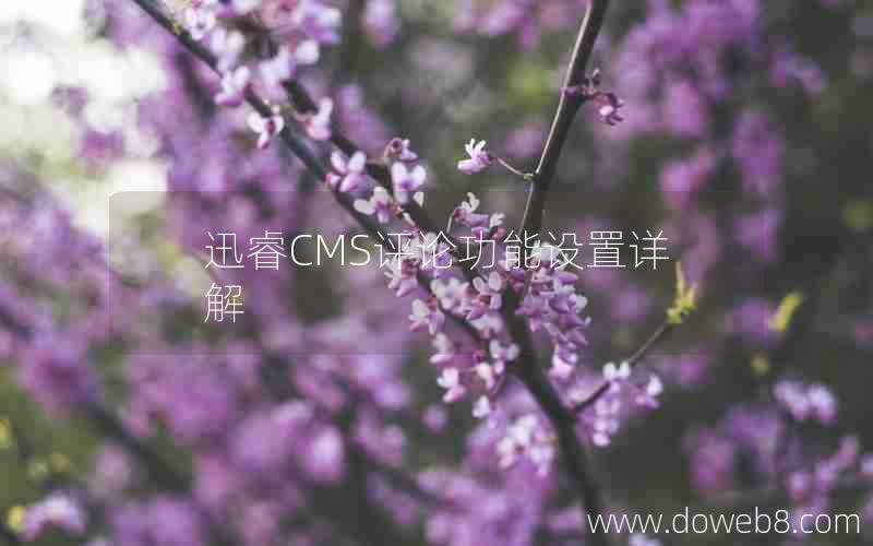 迅睿cms评论功能设置详解