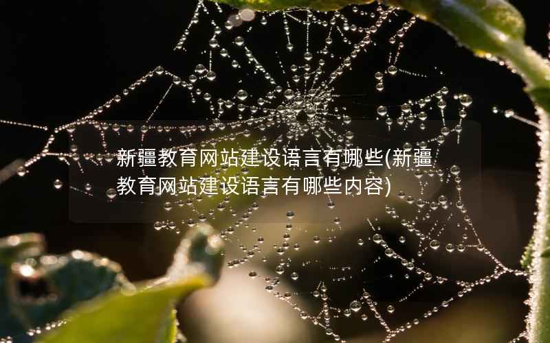 新疆教育网站建设语言有哪些，新疆教育网站建设语言有哪些内容