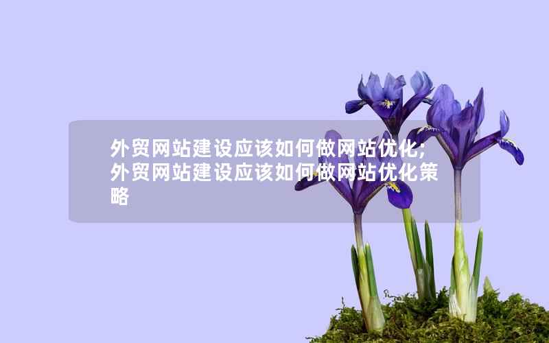 外贸网站建设应该如何做网站优化;外贸网站建设应该如何做网站优化策略