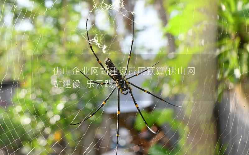 佛山企业网站建设费用预算，佛山网站建设_乐云践新