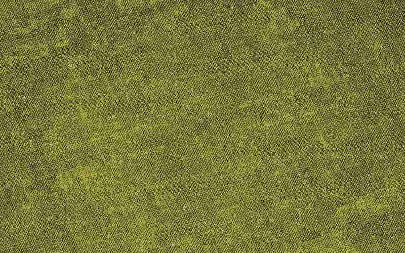 SEO软件能否改善社交媒体表现