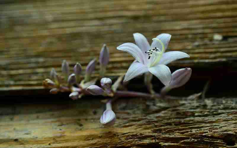 网站地图如何帮助搜索引擎收录