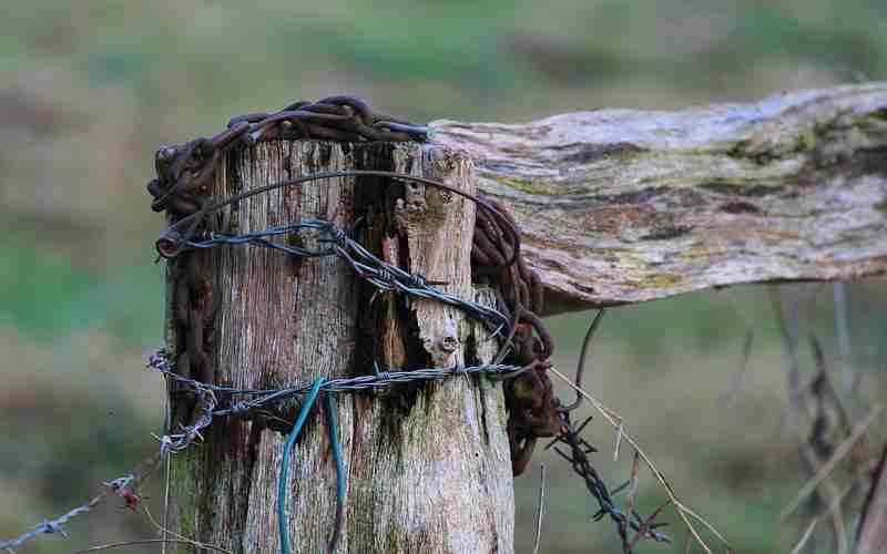如何利用论坛和社区进行SEO推广