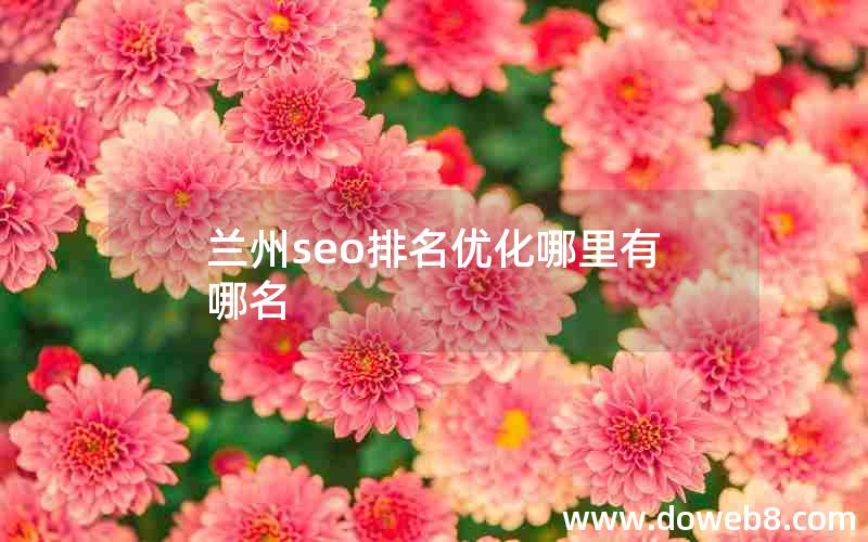 兰州seo排名优化哪里有哪名;兰州seo快速优化报价