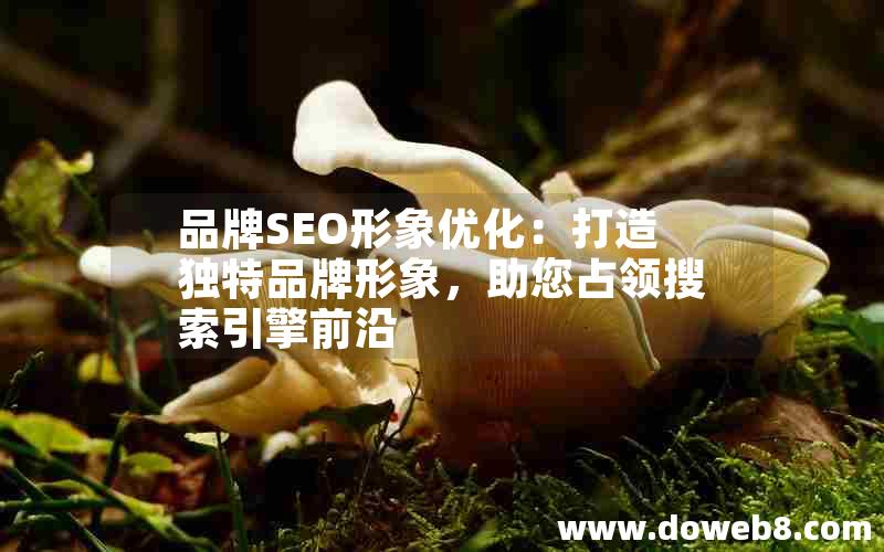品牌SEO形象优化：打造独特品牌形象，助您占领搜索引擎前沿