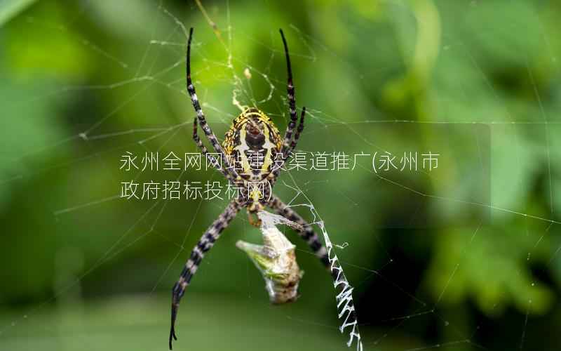 永州全网网站建设渠道推广，永州市招标投标网