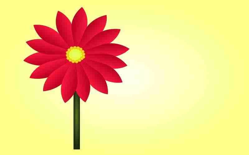 什么是SEO友好的URL结构