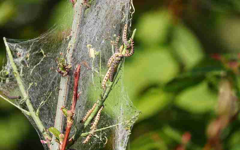 如何优化图片的关键词以提高搜索排名