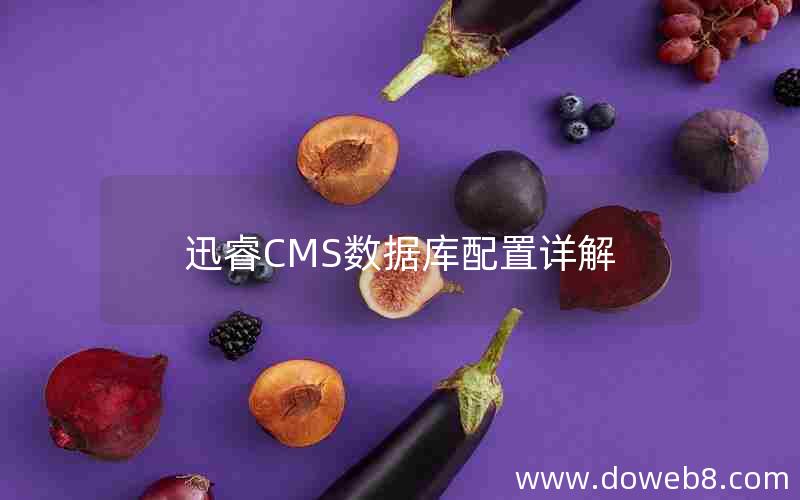 迅睿cms数据库配置详解