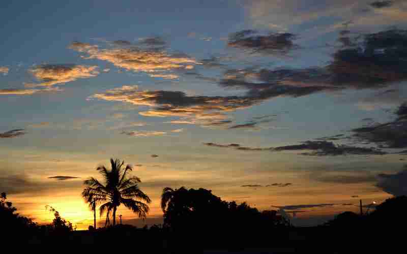 什么是自然搜索流量，如何提升