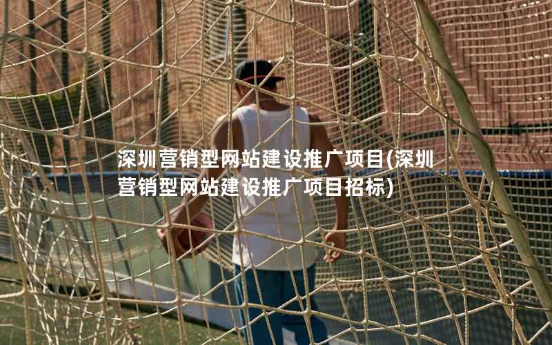深圳营销型网站建设推广项目，深圳营销型网站建设推广项目招标