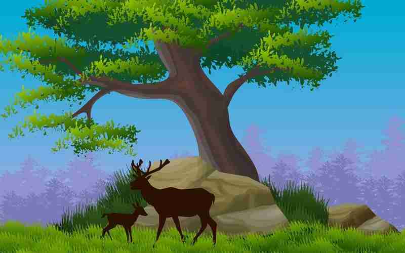 网站速度如何影响搜索引擎排名